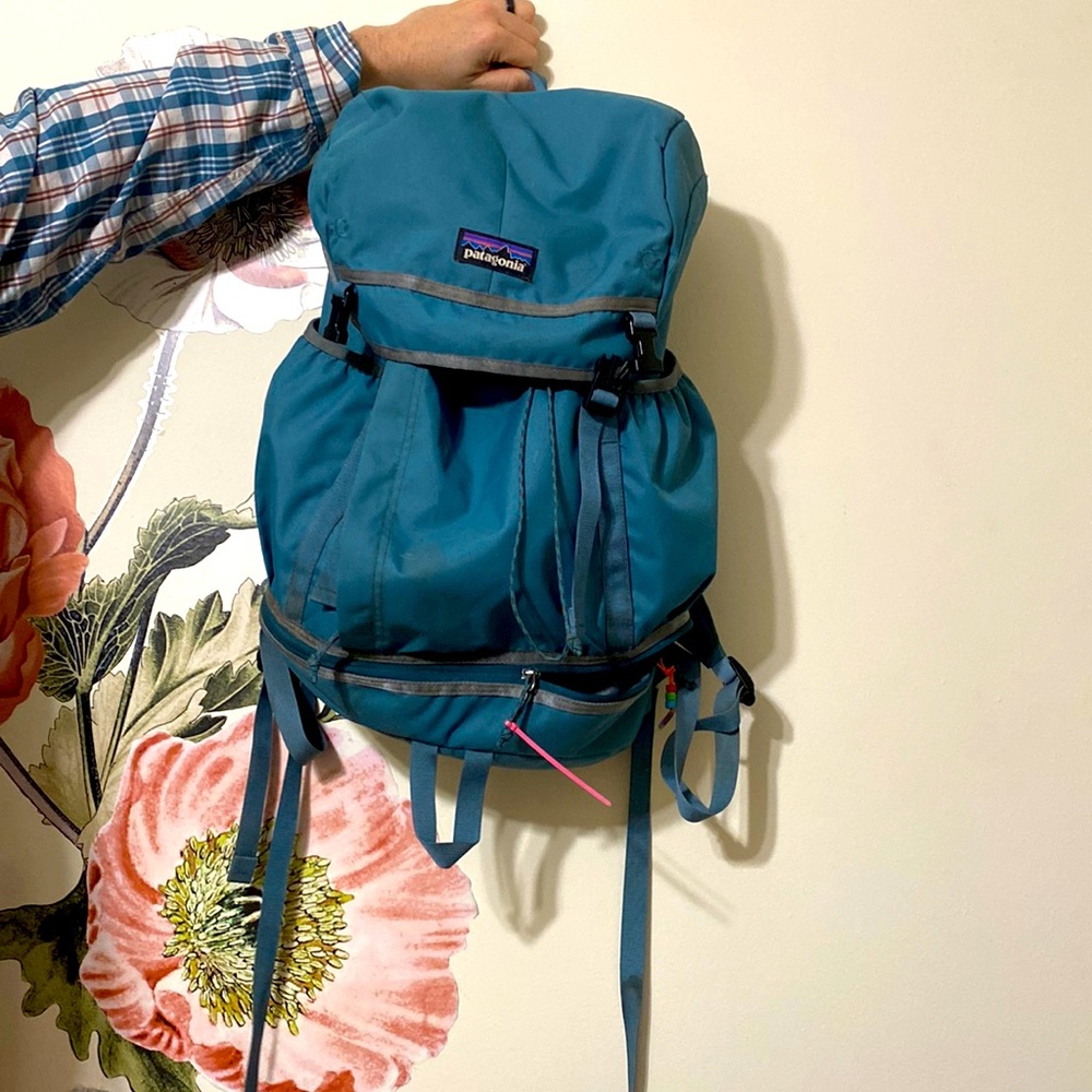 Patagonia Backpack - image 1